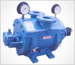 WATER RING VACUUM PUMPS 