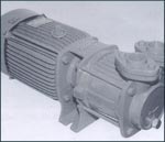 MONOBLOCK WATER SEALED VACUUM PUMPS 